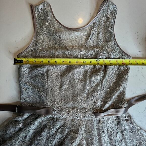 CACHE Champaign Metallic Threaded Lace Empire Waist Evening Cocktail Dress Sz 12 - Picture 14 of 15
